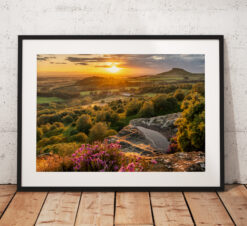 Roseberry Topping sunset taken from Cockshaw Hill on the North York Moors, England. Landscape Photography showing vivid flowering purple Heather. Mounted print. Wall Art.